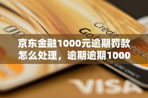 京东金融1000元逾期罚款怎么处理，逾期逾期1000元该如何处理