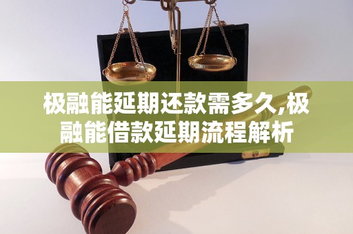 极融能延期还款需多久,极融能借款延期流程解析