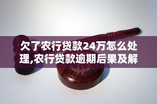 欠了农行贷款24万怎么处理,农行贷款逾期后果及解决方案