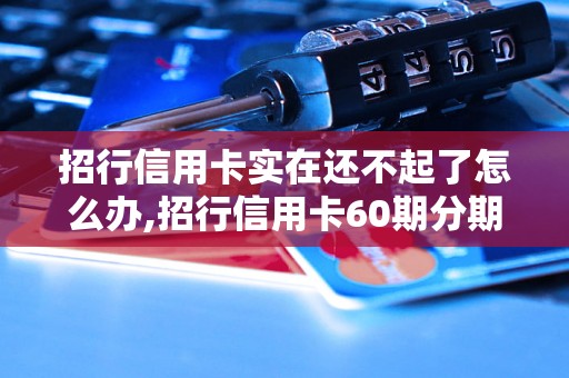 招行信用卡实在还不起了怎么办,招行信用卡60期分期付款申请流程