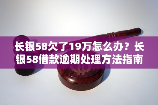 长银58欠了19万怎么办？长银58借款逾期处理方法指南