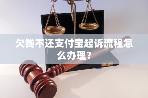 欠钱不还支付宝起诉流程怎么办理？