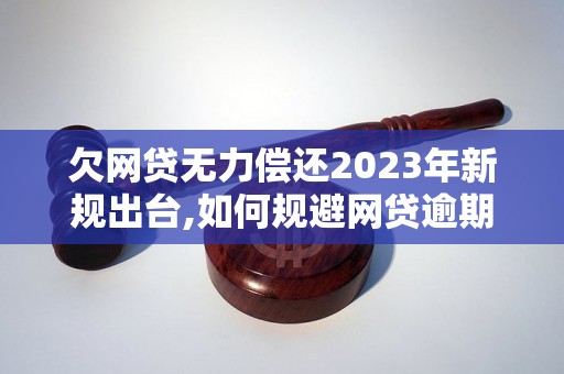 欠网贷无力偿还2023年新规出台,如何规避网贷逾期风险