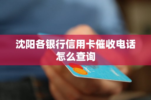 沈阳各银行信用卡催收电话怎么查询