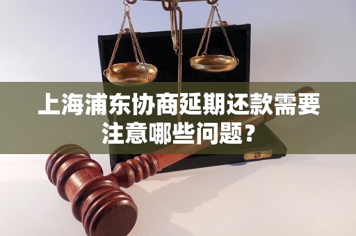 上海浦东协商延期还款需要注意哪些问题？
