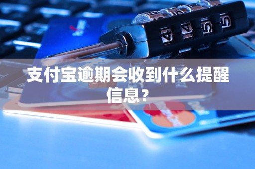 支付宝逾期会收到什么提醒信息？