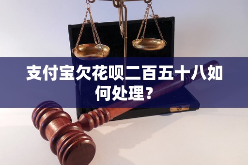 支付宝欠花呗二百五十八如何处理？