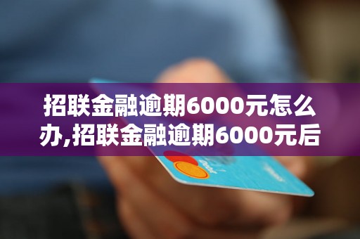 招联金融逾期6000元怎么办,招联金融逾期6000元后果及处理方式