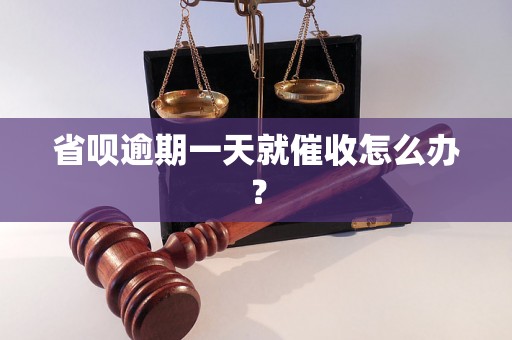 省呗逾期一天就催收怎么办？