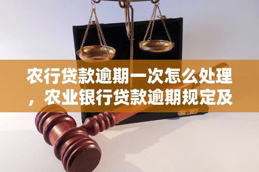 农行贷款逾期一次怎么处理，农业银行贷款逾期规定及处罚