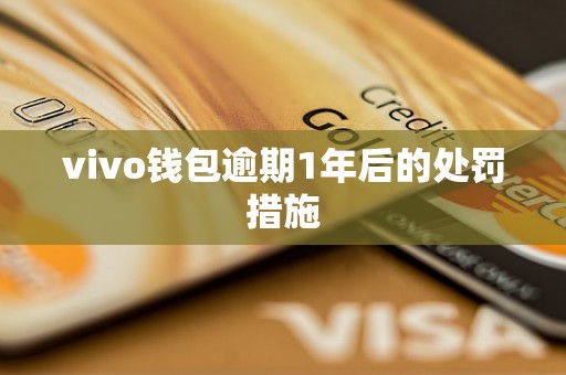 vivo钱包逾期1年后的处罚措施