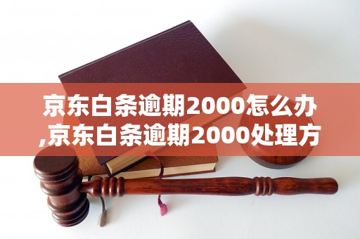 京东白条逾期2000怎么办,京东白条逾期2000处理方法介绍