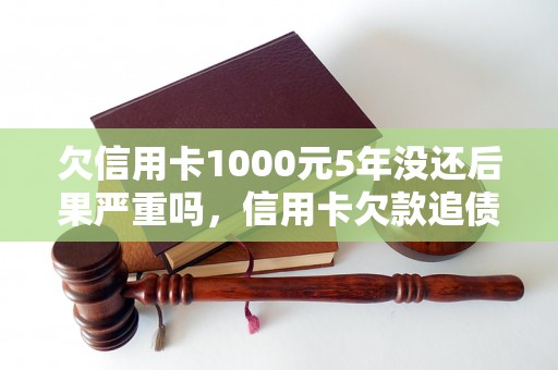 欠信用卡1000元5年没还后果严重吗，信用卡欠款追债流程详解