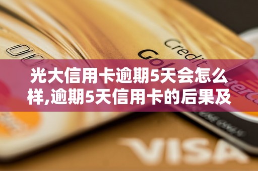 光大信用卡逾期5天会怎么样,逾期5天信用卡的后果及处理方式