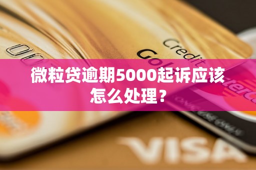 微粒贷逾期5000起诉应该怎么处理？