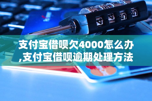 支付宝借呗欠4000怎么办,支付宝借呗逾期处理方法