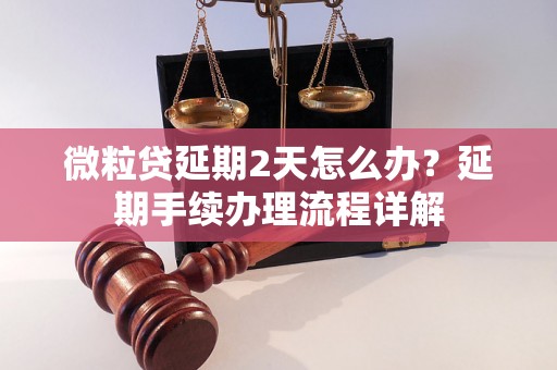 微粒贷延期2天怎么办？延期手续办理流程详解