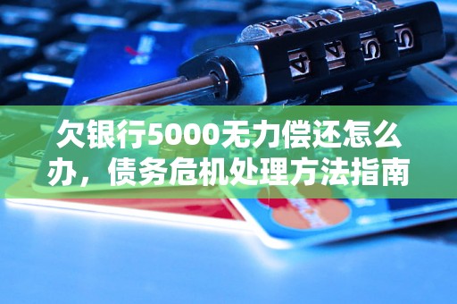 欠银行5000无力偿还怎么办，债务危机处理方法指南