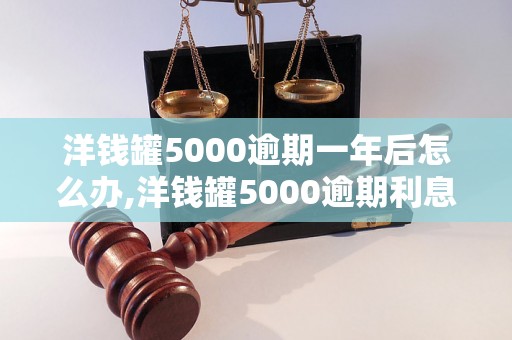 洋钱罐5000逾期一年后怎么办,洋钱罐5000逾期利息计算