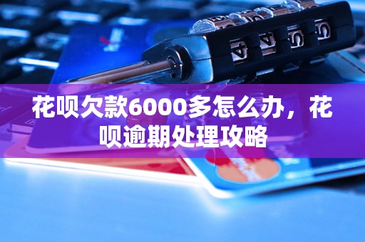 花呗欠款6000多怎么办，花呗逾期处理攻略