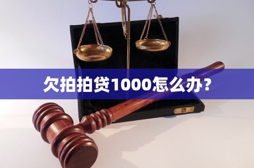 欠拍拍贷1000怎么办？