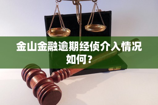 金山金融逾期经侦介入情况如何？