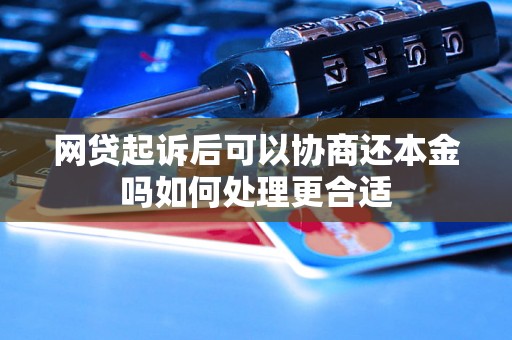 网贷起诉后可以协商还本金吗如何处理更合适