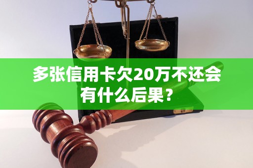 多张信用卡欠20万不还会有什么后果？