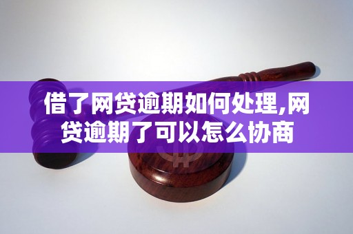 借了网贷逾期如何处理,网贷逾期了可以怎么协商