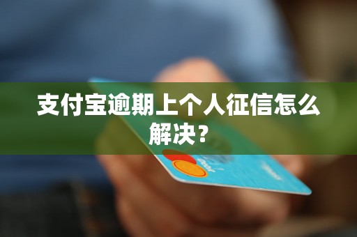 支付宝逾期上个人征信怎么解决？