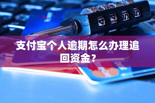 支付宝个人逾期怎么办理追回资金？