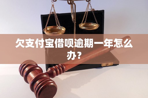 欠支付宝借呗逾期一年怎么办？