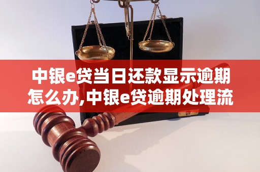 中银e贷当日还款显示逾期怎么办,中银e贷逾期处理流程详解