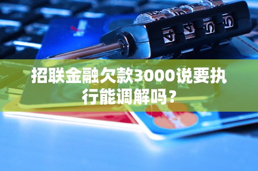 招联金融欠款3000说要执行能调解吗？