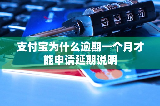 支付宝为什么逾期一个月才能申请延期说明