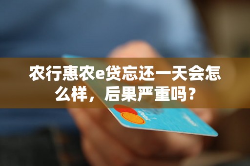 农行惠农e贷忘还一天会怎么样，后果严重吗？