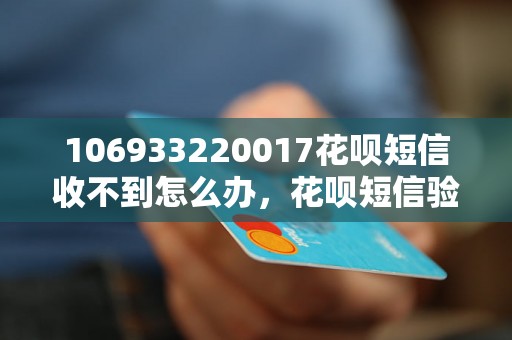 106933220017花呗短信收不到怎么办，花呗短信验证码不显示解决方法