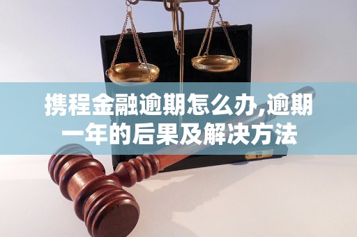 携程金融逾期怎么办,逾期一年的后果及解决方法