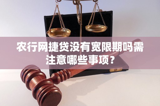 农行网捷贷没有宽限期吗需注意哪些事项？