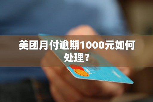 美团月付逾期1000元如何处理？