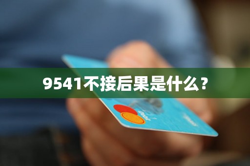 9541不接后果是什么？