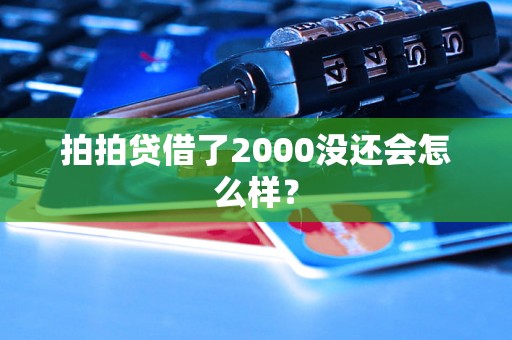 拍拍贷借了2000没还会怎么样？