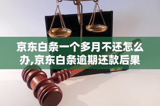 京东白条一个多月不还怎么办,京东白条逾期还款后果