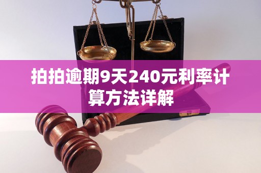 拍拍逾期9天240元利率计算方法详解