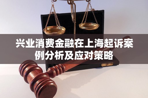 兴业消费金融在上海起诉案例分析及应对策略