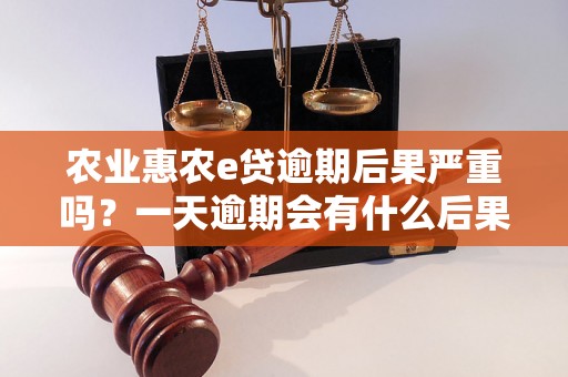 农业惠农e贷逾期后果严重吗？一天逾期会有什么后果？