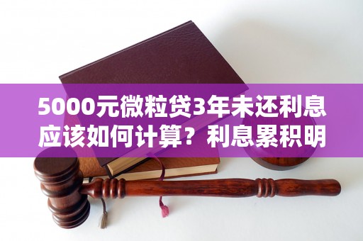 5000元微粒贷3年未还利息应该如何计算？利息累积明细解析