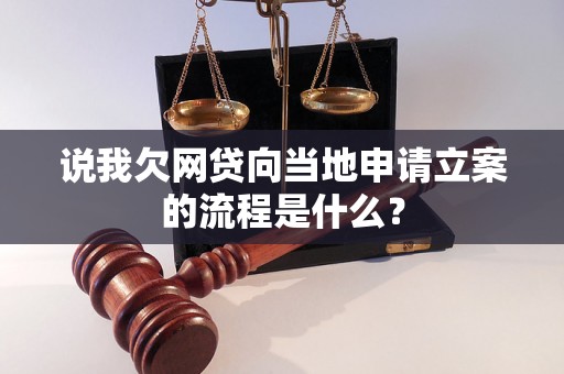 说我欠网贷向当地申请立案的流程是什么？