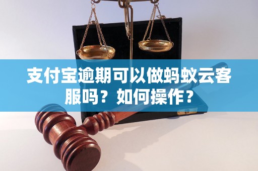 支付宝逾期可以做蚂蚁云客服吗？如何操作？