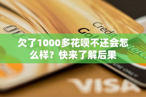 欠了1000多花呗不还会怎么样？快来了解后果